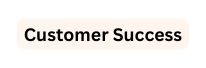 Customer Success